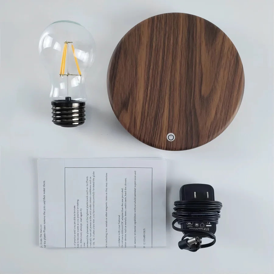 Magnetic Table Lamp